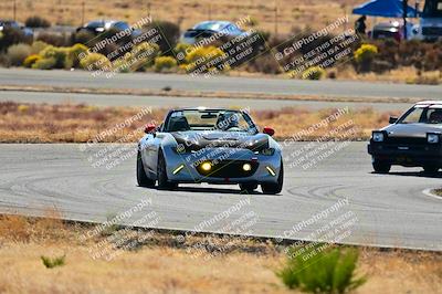 media/Nov-16-2024-Extreme Speed (Sat) [[6587d07cc4]]/Gold Group/Session 2 (Turns 3 and 5)/